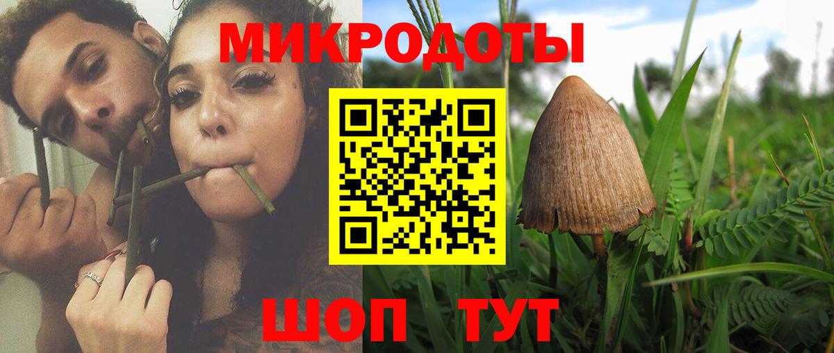 Усть-Джегута  Галлюциногенные грибы Psilocybe  как найти закладки  Псилоцибиновые грибы мицелий  Вход с VPN 